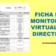 Ficha de monitoreo al directivo de las Instituciones Educativas