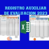 Registro auxiliar de evaluación automatizado para inicial primaria y secundaria
