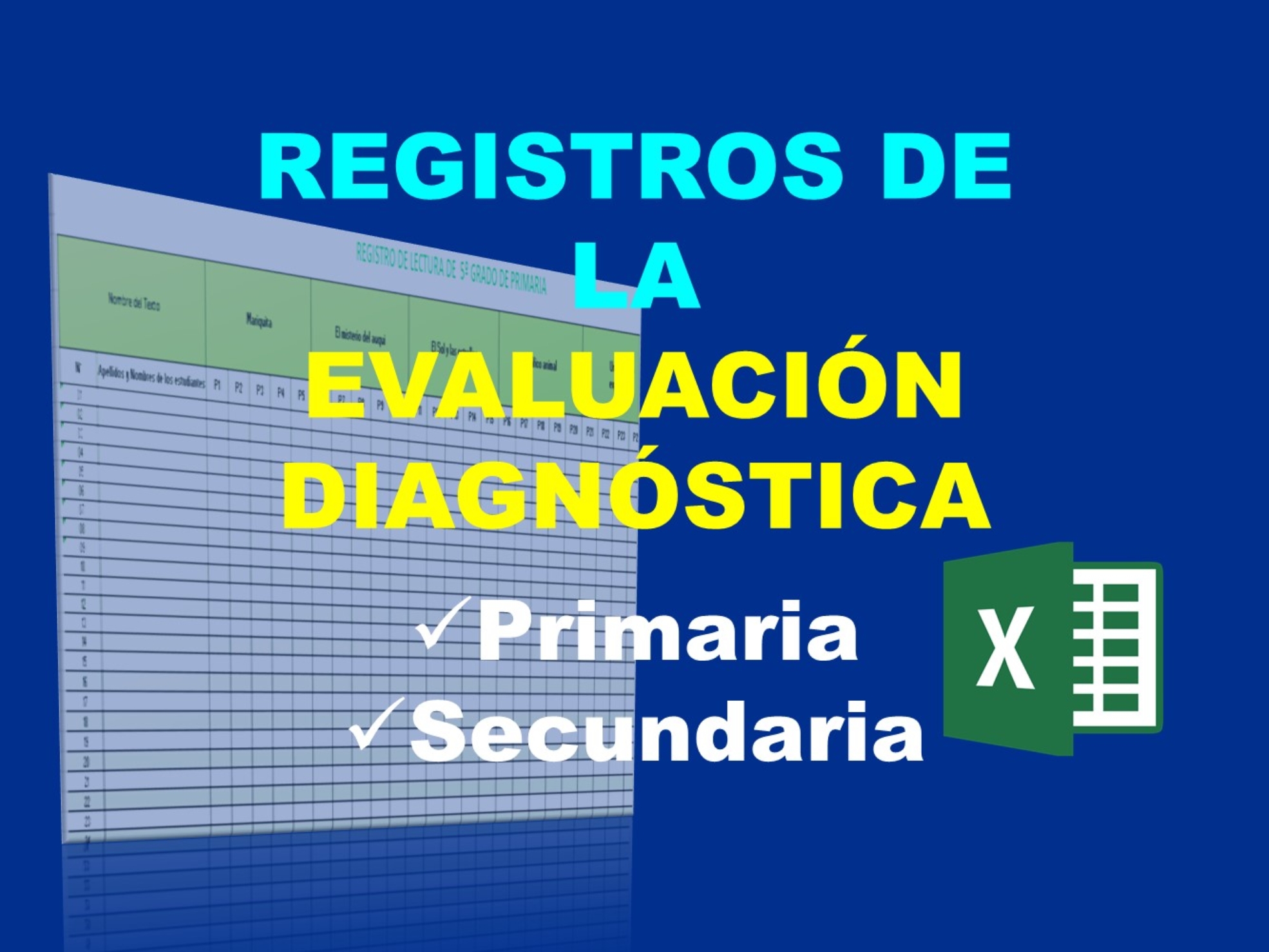 Registros de la evaluación diagnóstica de primaria y secundaria